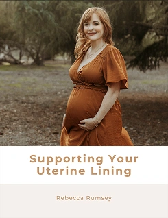 Supporting Your Uterine Lining